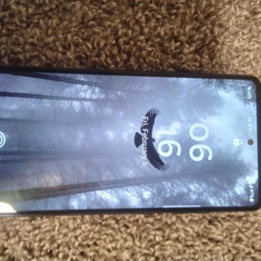 Samsung S20fe 5g